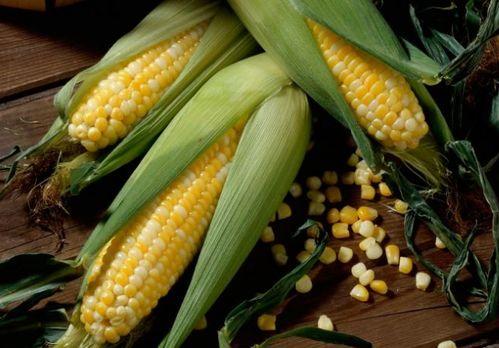 娱乐吃瓜酱玉米,揭秘娱乐圈那些鲜为人知的幕后故事  第2张