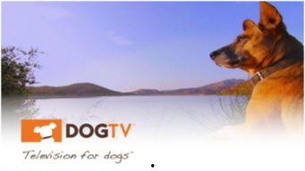 讯狗视频在线观看,讯狗视频带你在线观影新体验 第3张 讯狗视频在线观看,讯狗视频带你在线观影新体验 第3张