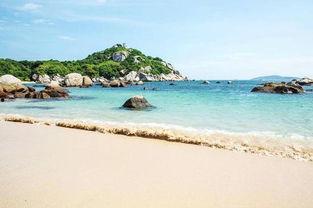 惠州巽寮湾新闻爆料热线,聚焦湾畔动态,倾听民声心声 第2张 惠州巽寮湾新闻爆料热线,聚焦湾畔动态,倾听民声心声 第2张